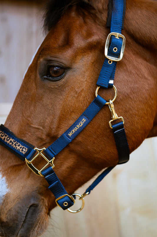 Licol double boucle & longe Elena - marine